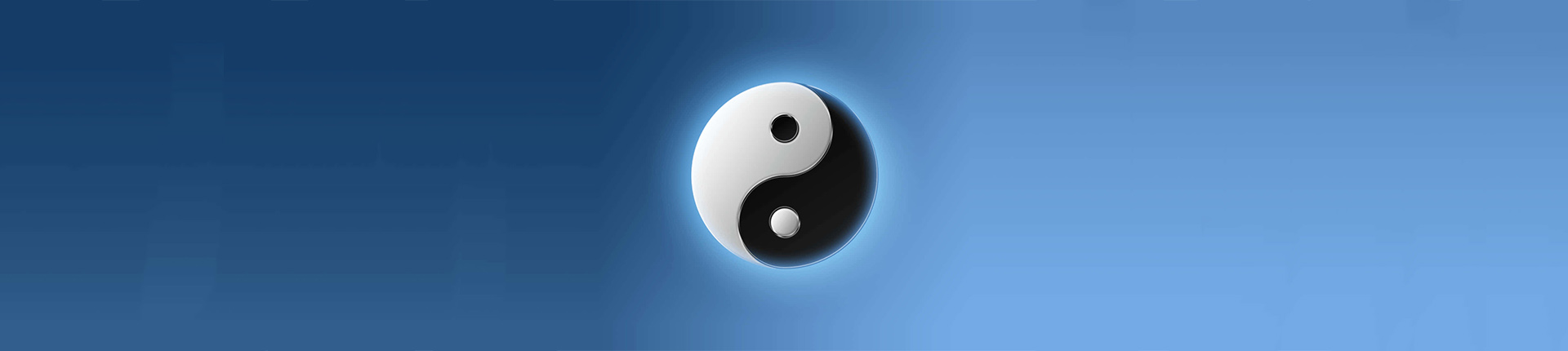 tai chi banner